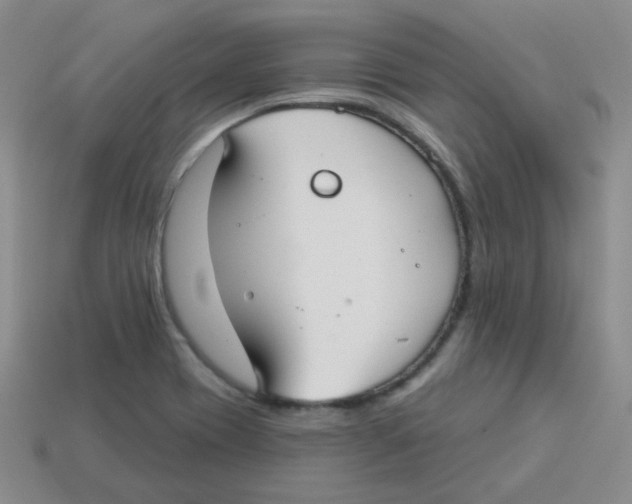 X0000113281417200910130956