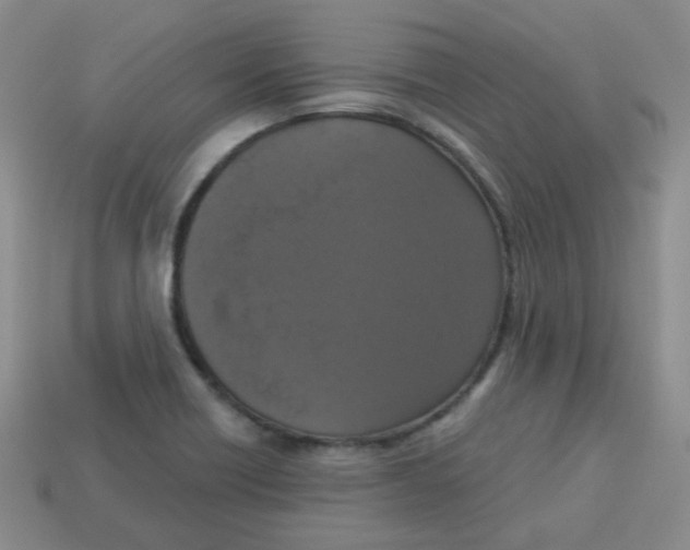 X0000113281418200910130956