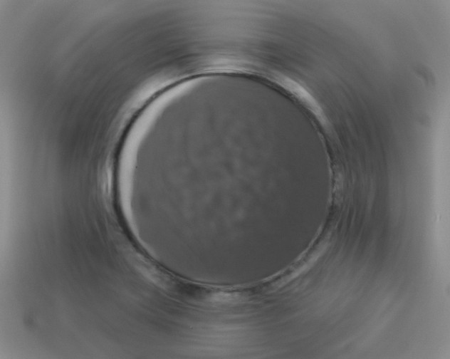 X0000113281419200910130956