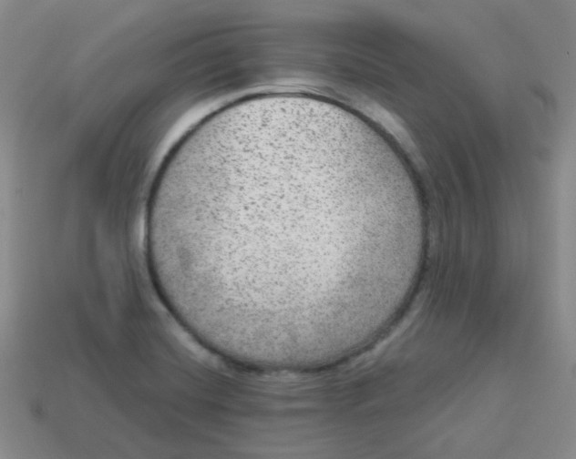 X0000113281420200910130956