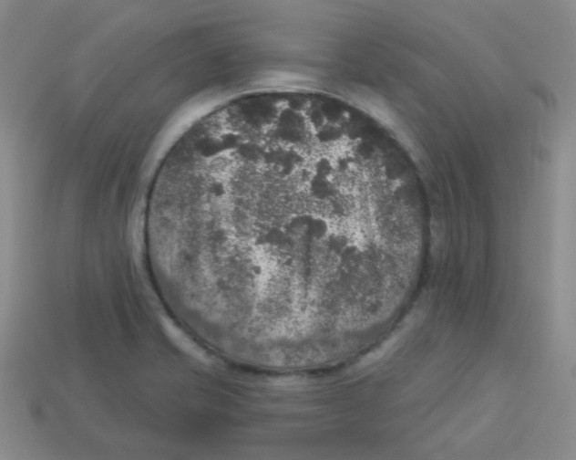 X0000113281421200910130956