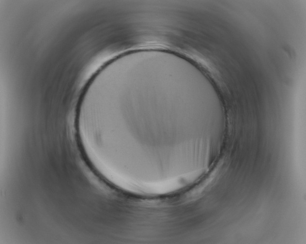 X0000113281422200910130956