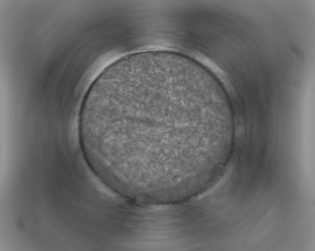 X0000113281423200910130956