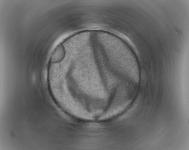 X0000113281424200910130956