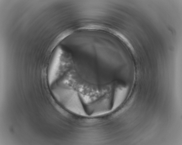 X0000113281425200910130956