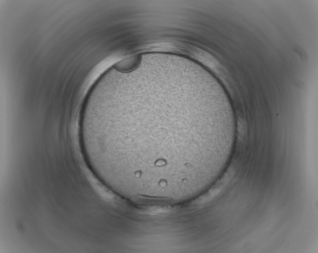 X0000113281426200910130956