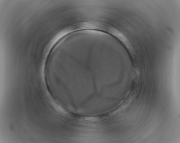 X0000113281427200910130956