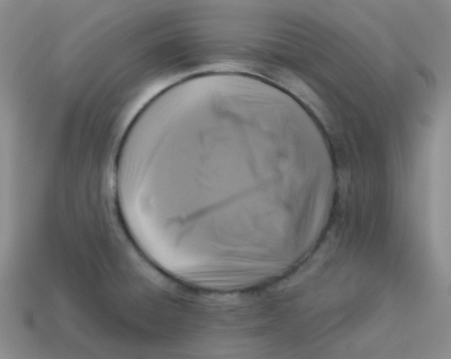 X0000113281428200910130956