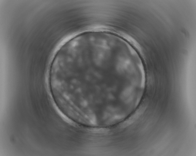 X0000113281429200910130956