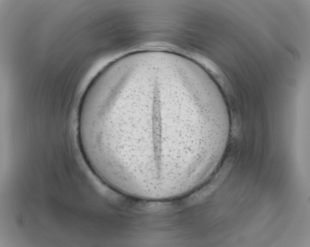 X0000113281430200910130956