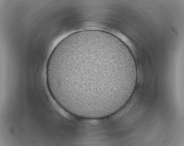 X0000113281431200910130956