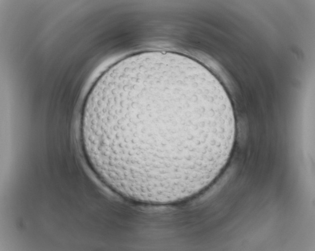 X0000113281432200910130956