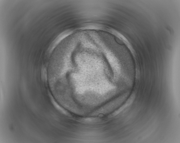 X0000113281433200910130956