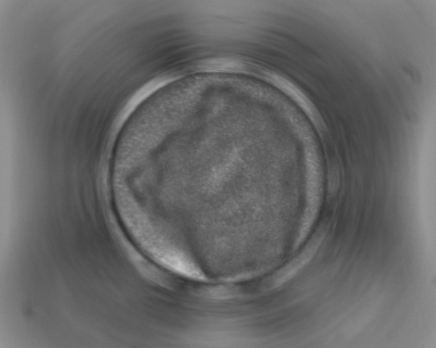 X0000113281434200910130956