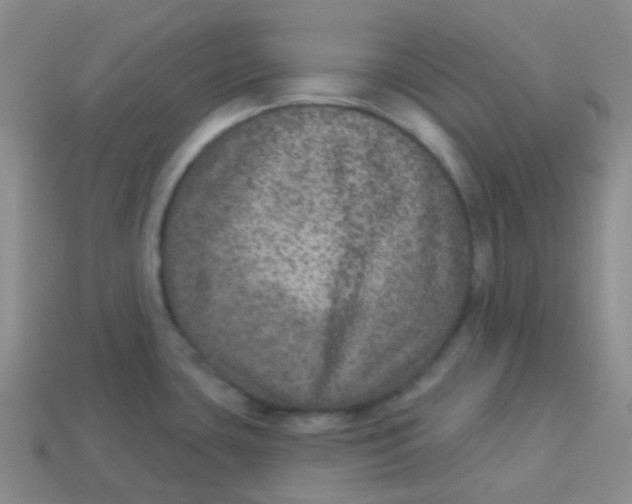 X0000113281435200910130956