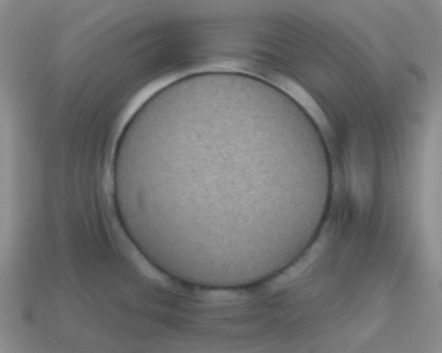 X0000113281436200910130956