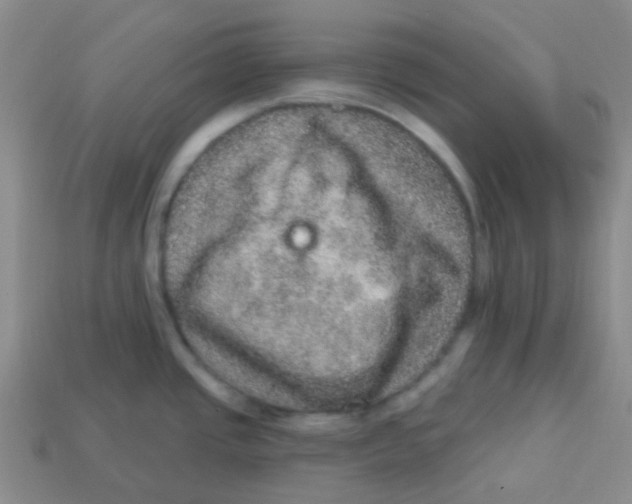 X0000113281437200910130956