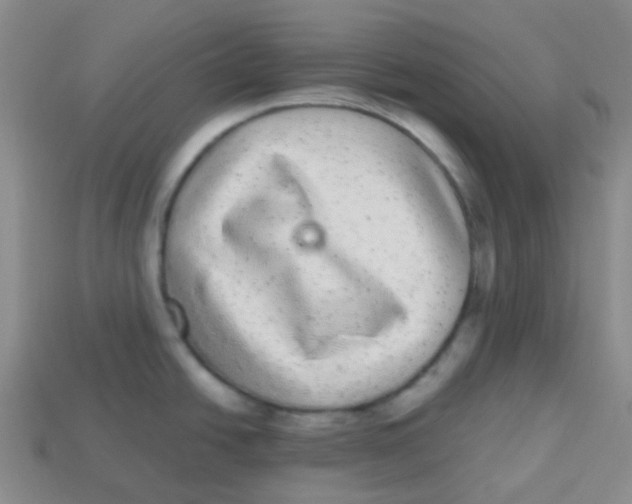 X0000113281438200910130956