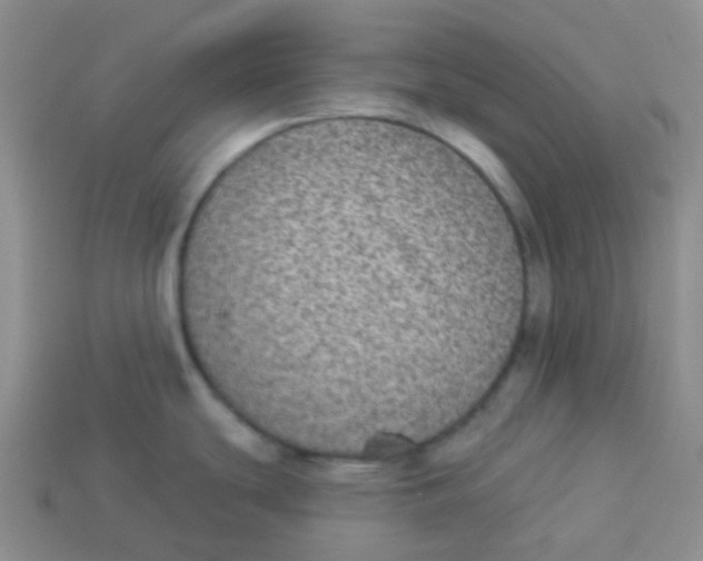 X0000113281439200910130956