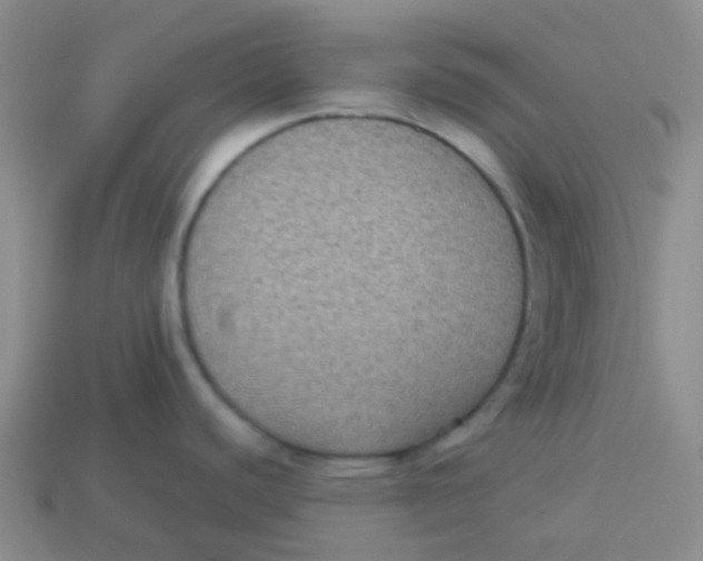 X0000113281440200910130956