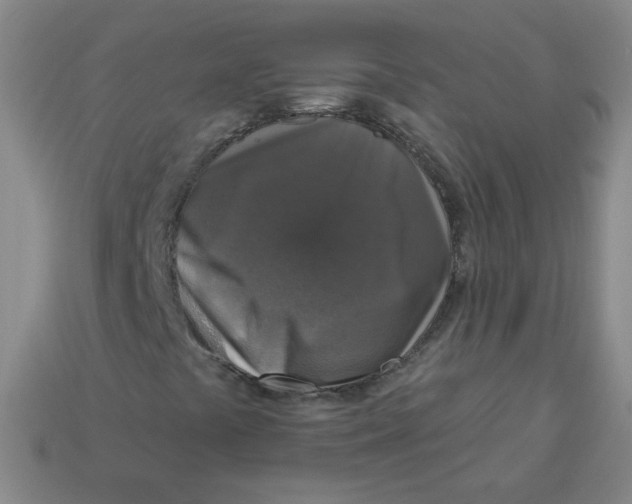 X0000113281441200910130955