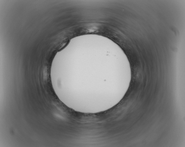 X0000113281442200910130955