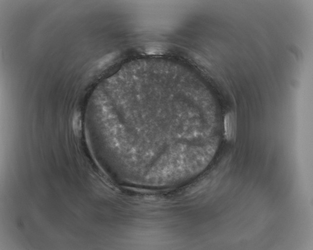 X0000113281443200910130955