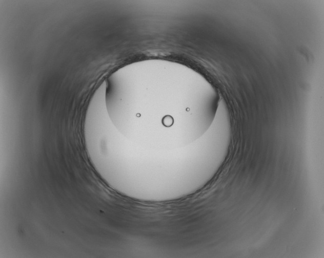 X0000113281444200910130955