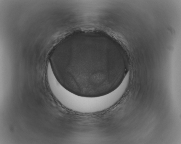 X0000113281445200910130955