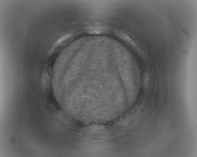 X0000113281446200910130955