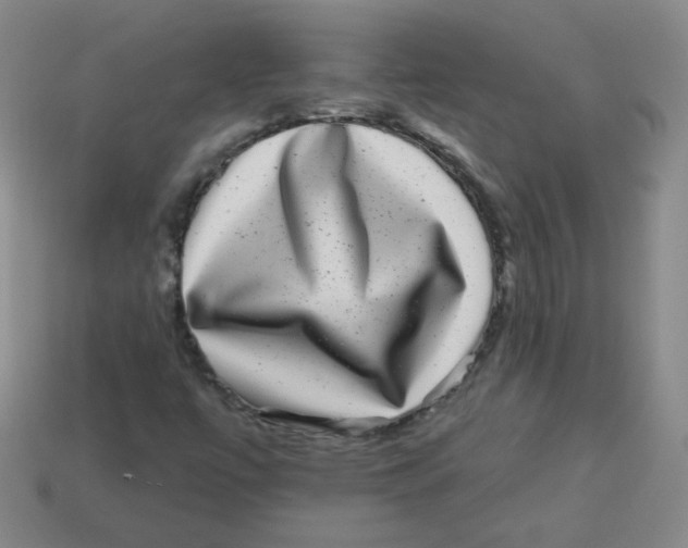 X0000113281447200910130955