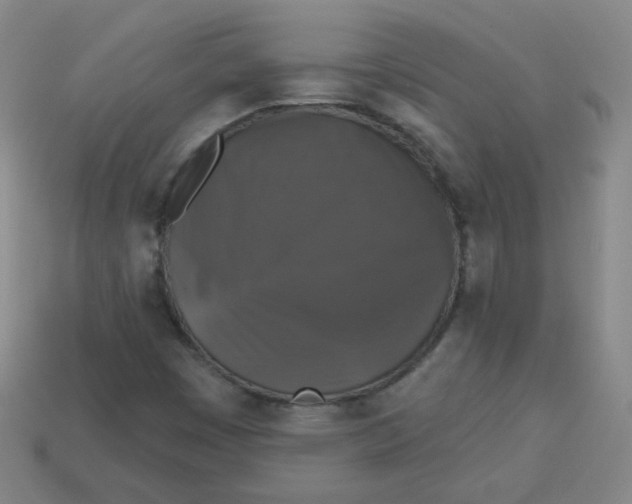 X0000113281449200910130955