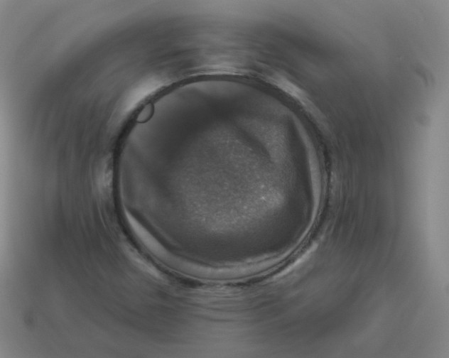 X0000113281450200910130955