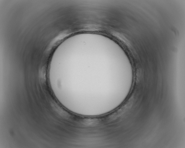 X0000113281451200910130955