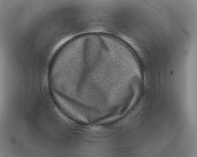 X0000113281452200910130955