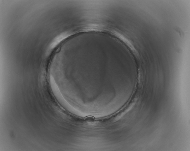 X0000113281453200910130955