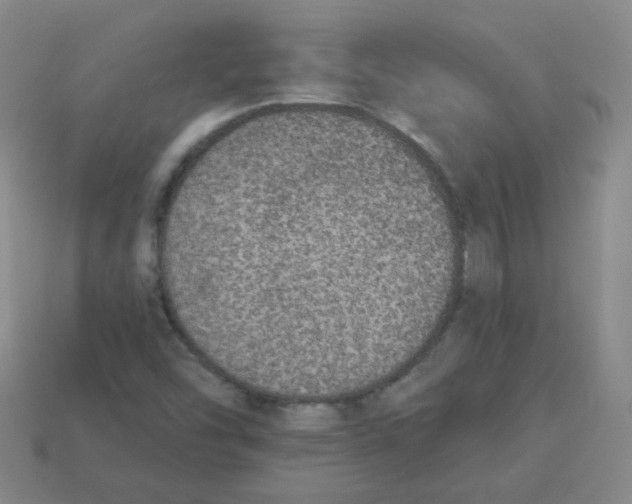 X0000113281454200910130955