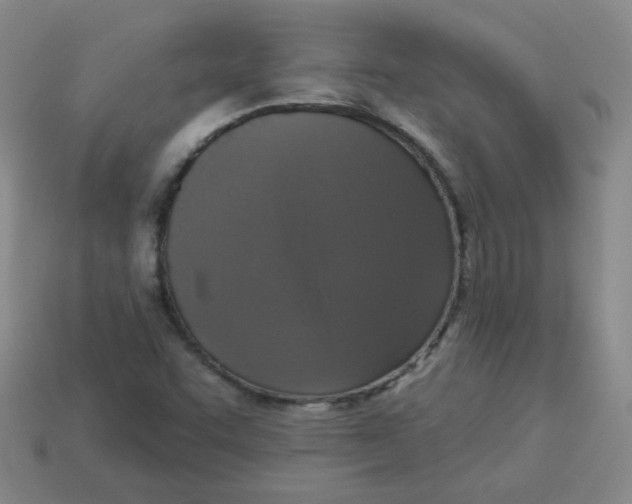 X0000113281455200910130955