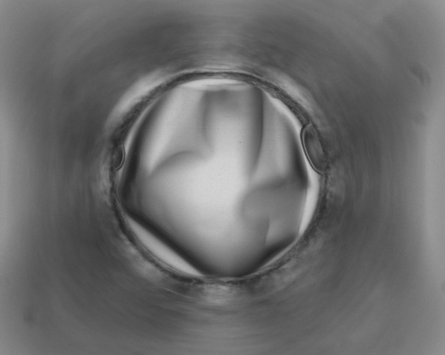 X0000113281456200910130955