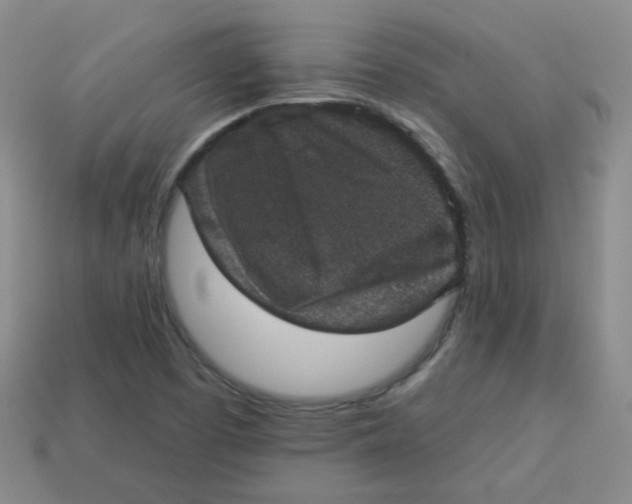 X0000113281457200910130955