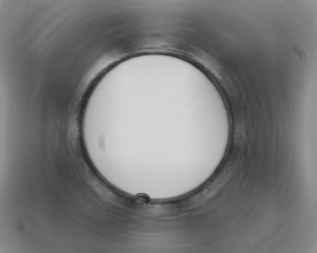 X0000113281458200910130955