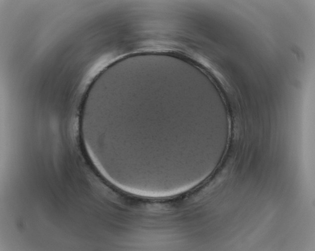 X0000113281459200910130955