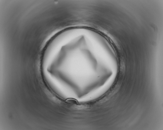 X0000113281460200910130955