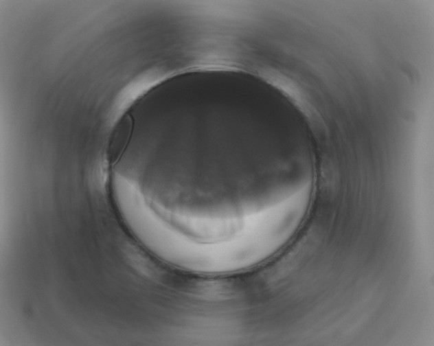 X0000113281461200910130955