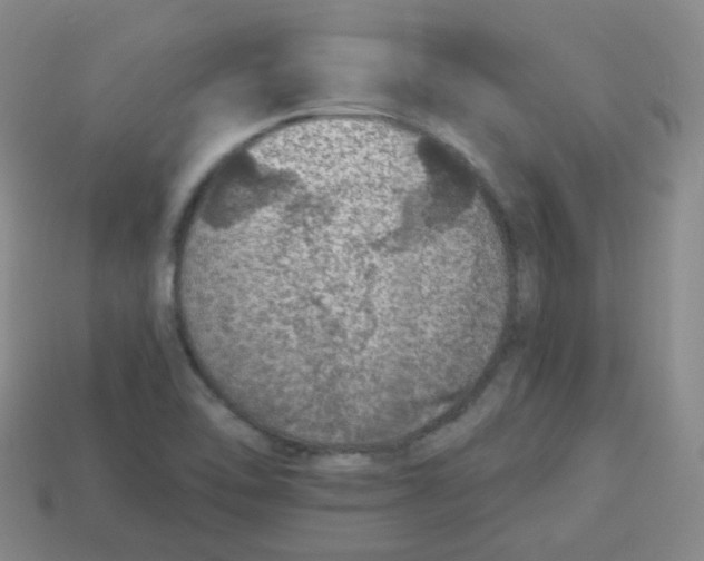 X0000113281462200910130955