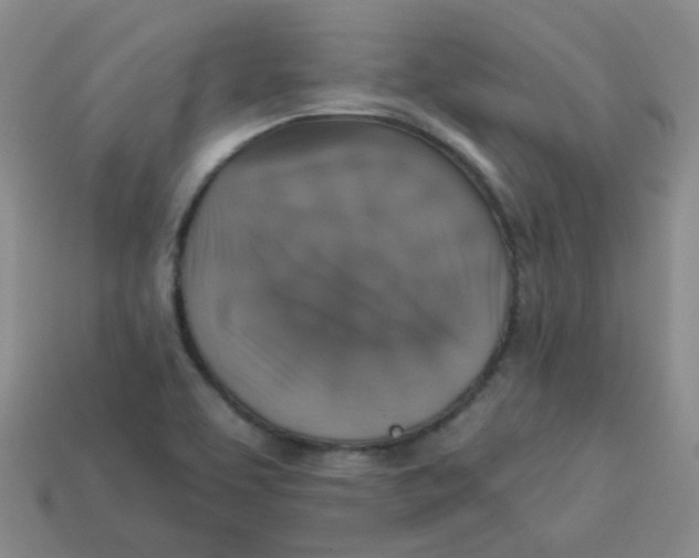 X0000113281463200910130955