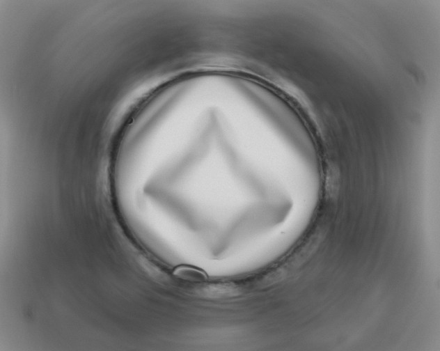 X0000113281464200910130955