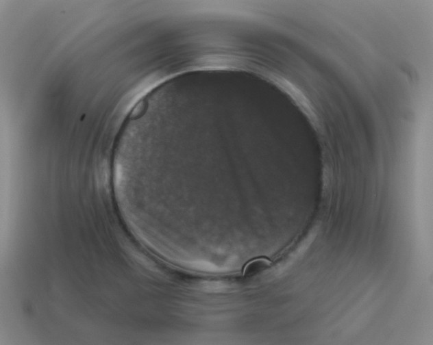 X0000113281465200910130955