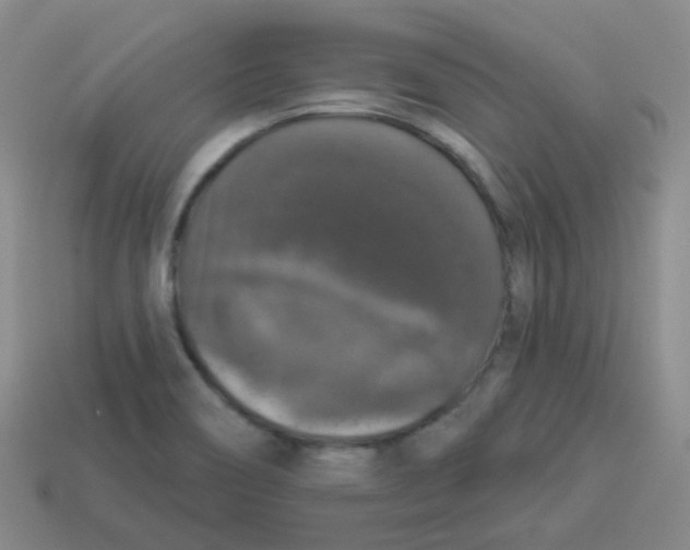 X0000113281466200910130955