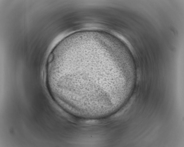 X0000113281467200910130955